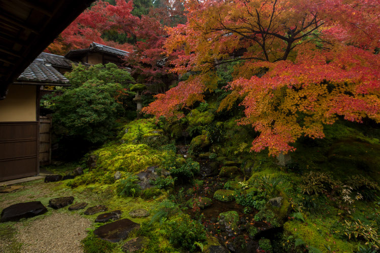 瑠璃光院_e0051888_1224762.jpg