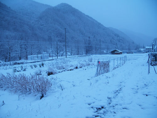 雪降りの方程式_f0236291_630891.jpg