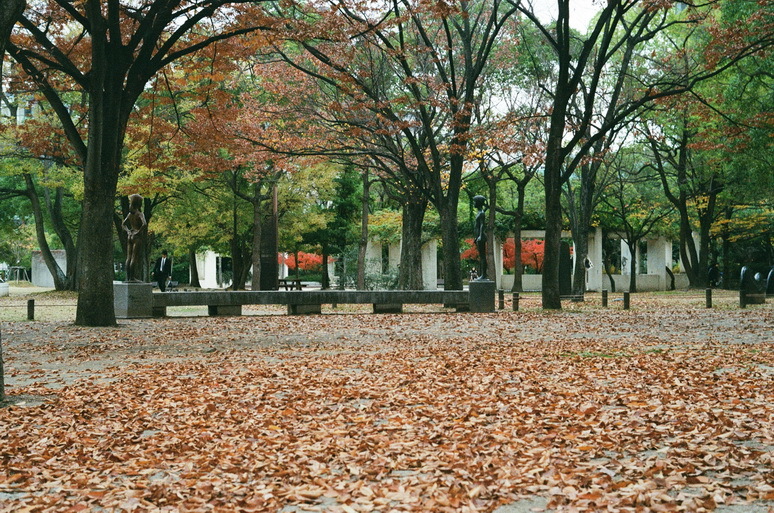 f0319091_00125381.jpg