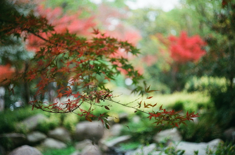 f0319091_00131310.jpg