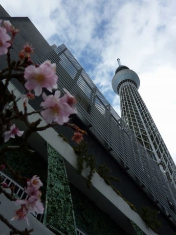 c0322794_23322056.jpg