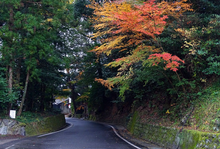 神社境内はまだ紅葉_b0145296_10111151.jpg