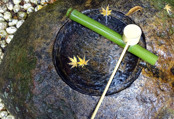 神社境内はまだ紅葉_b0145296_10114234.jpg