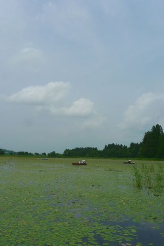 d0333398_23365383.jpg