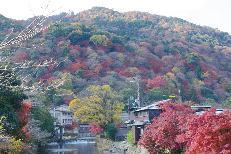 今年の紅葉。_c0230699_14441867.jpg