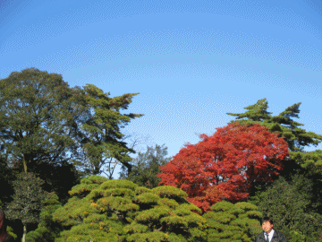 f0255500_194230100.gif