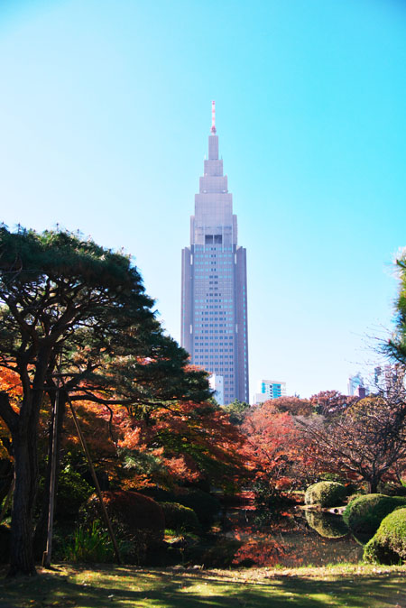 新宿御苑の紅葉2_a0263109_1013096.jpg