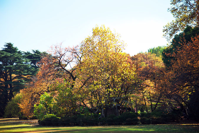 a0263109_1041643.jpg
