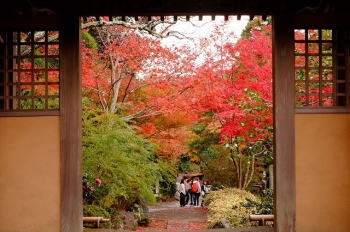 海蔵寺と長寿寺_d0027711_186566.jpg