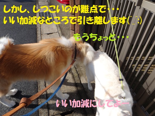 2頭引きAgain!(その1:初日)_f0121712_16225519.jpg