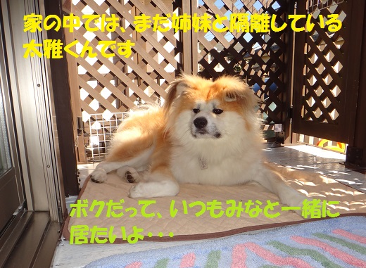 2頭引きAgain!(その1:初日)_f0121712_16275962.jpg