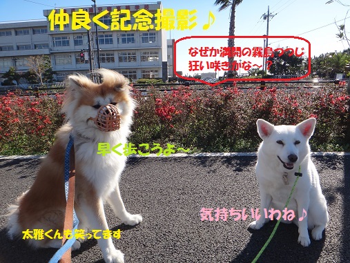 2頭引きAgain!(その1:初日)_f0121712_16514269.jpg