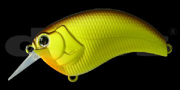 deps イボーグ 2.0 New 入荷しました。_a0153216_23361966.jpg