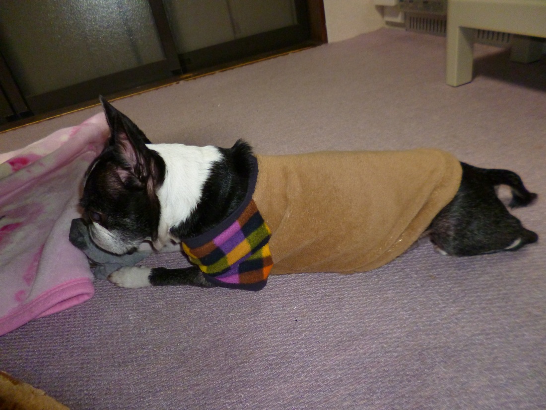 c0280416_2284039.jpg