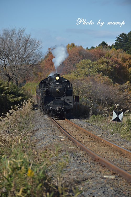 真岡鉄道 秋景色の中を走るSL C11♪♪_e0160417_19102057.jpg