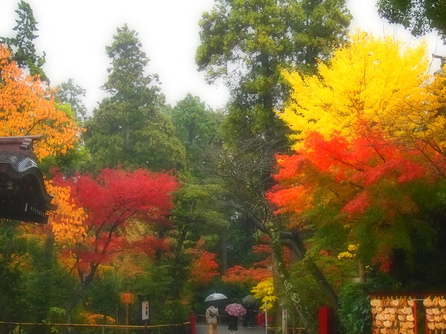 鎌倉の旅　＜鶴岡八幡宮Ⅱ＞_d0295818_22215092.jpg