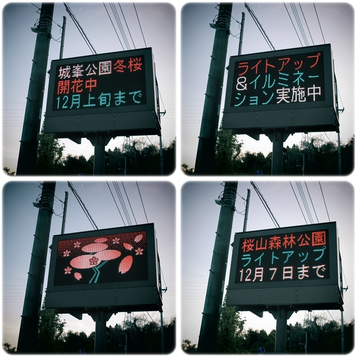 a0243720_09173630.jpg