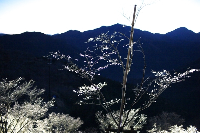 a0243720_09201266.jpg