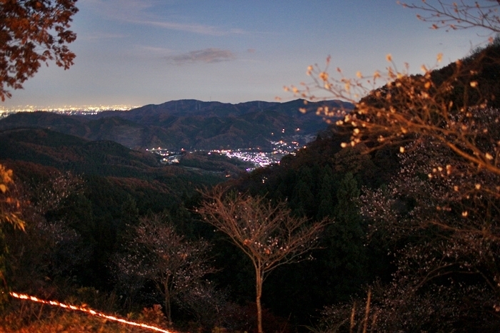 a0243720_09211069.jpg
