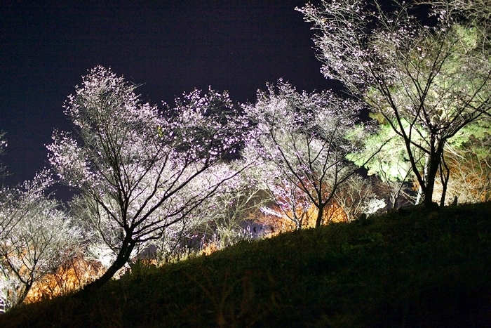 a0243720_09231645.jpg