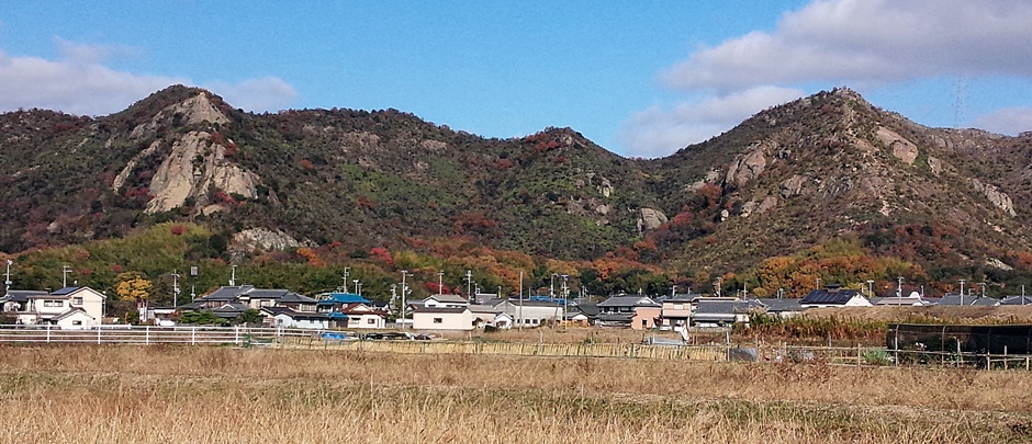桶居山トレールランニング_f0050226_9365371.jpg