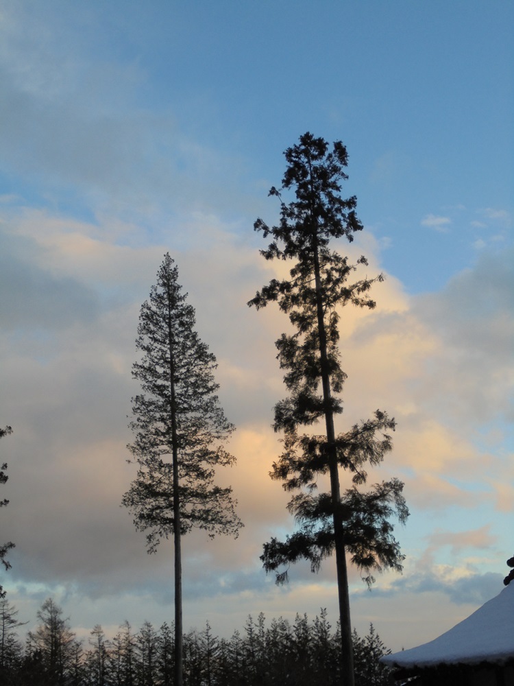 c0111229_17563136.jpg