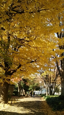 c0267235_1644128.jpg