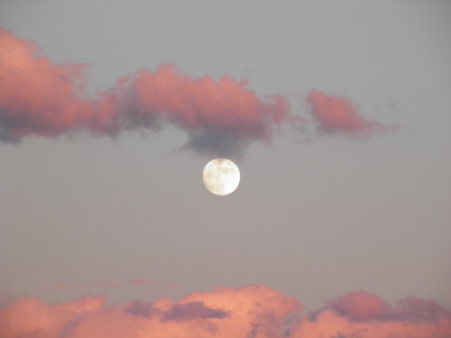 c0338136_22165724.jpg