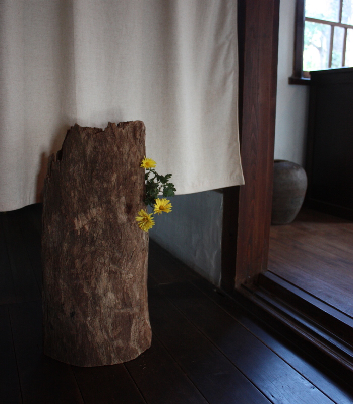 片羽なものと花 3_d0210537_17173099.jpg
