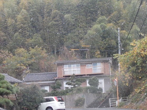 a0054240_2340848.jpg