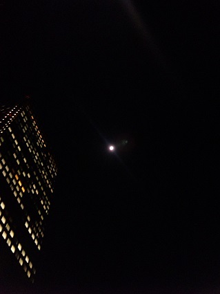 blog;浜松町の月_a0103940_03025159.jpg