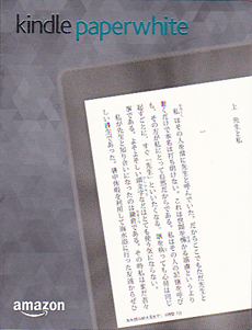 電子書籍「キンドル」と「ブックライブ・リディオ」との体験的比較_e0013640_971257.jpg