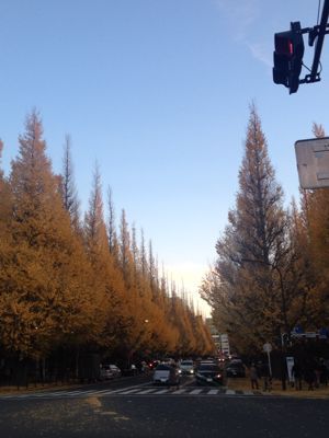 c0182843_1244589.jpg