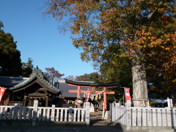 熊野大神社　深谷市_b0307545_22534633.jpg