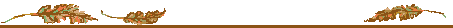 d0138650_2003119.gif