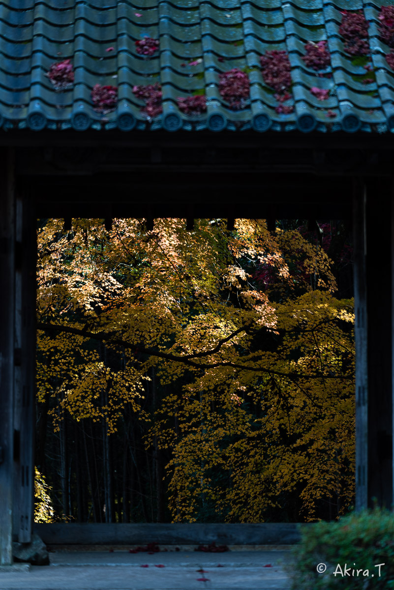 f0152550_223749.jpg