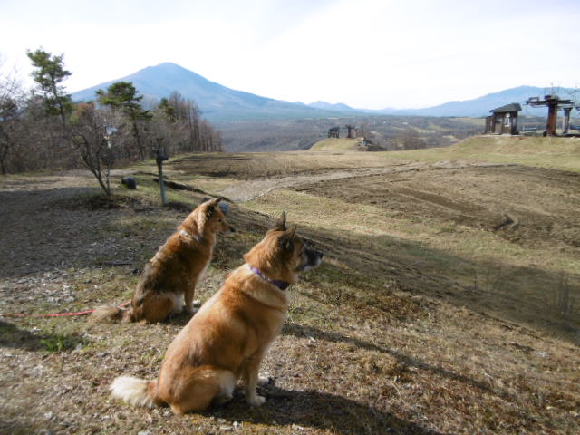 初冬の北軽井沢　- 鼻曲山登山編の続き -_b0203758_22452222.jpg