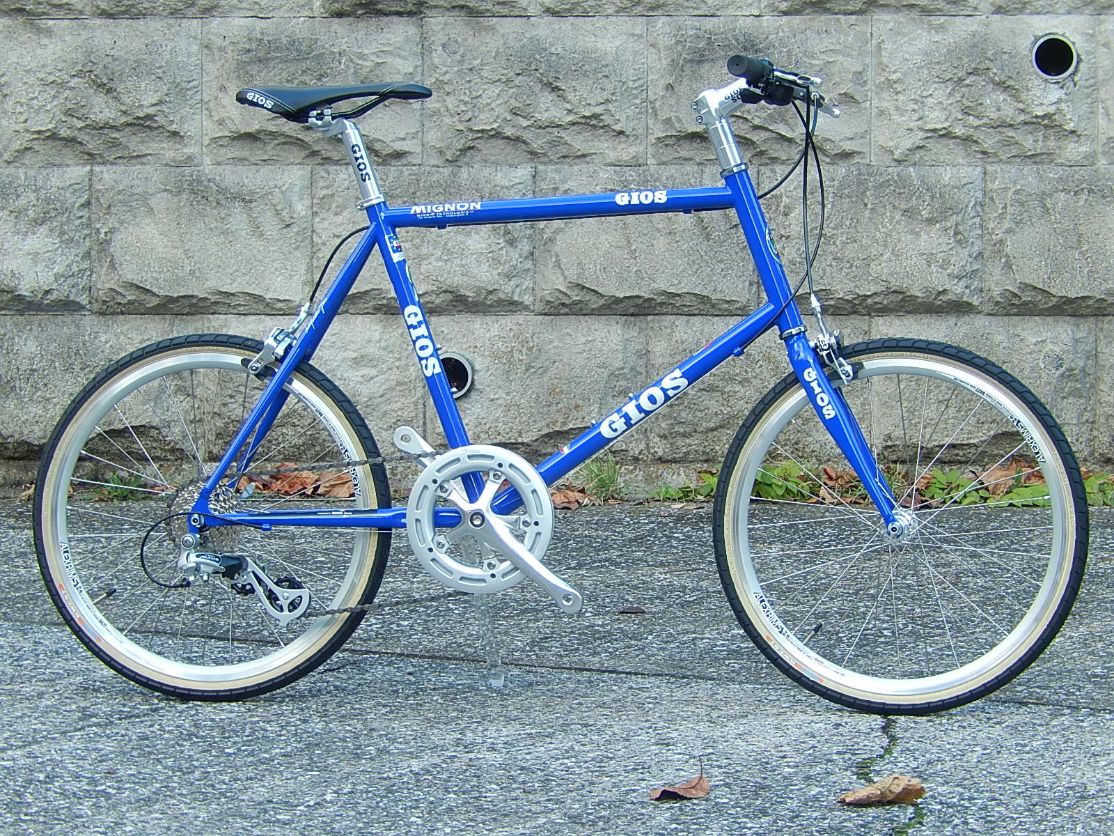 GIOS 2015年モデル入荷_e0188759_16553290.jpg