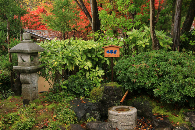 保内公園内お茶室 「松濤庵」の紅葉_a0267861_20151333.jpg