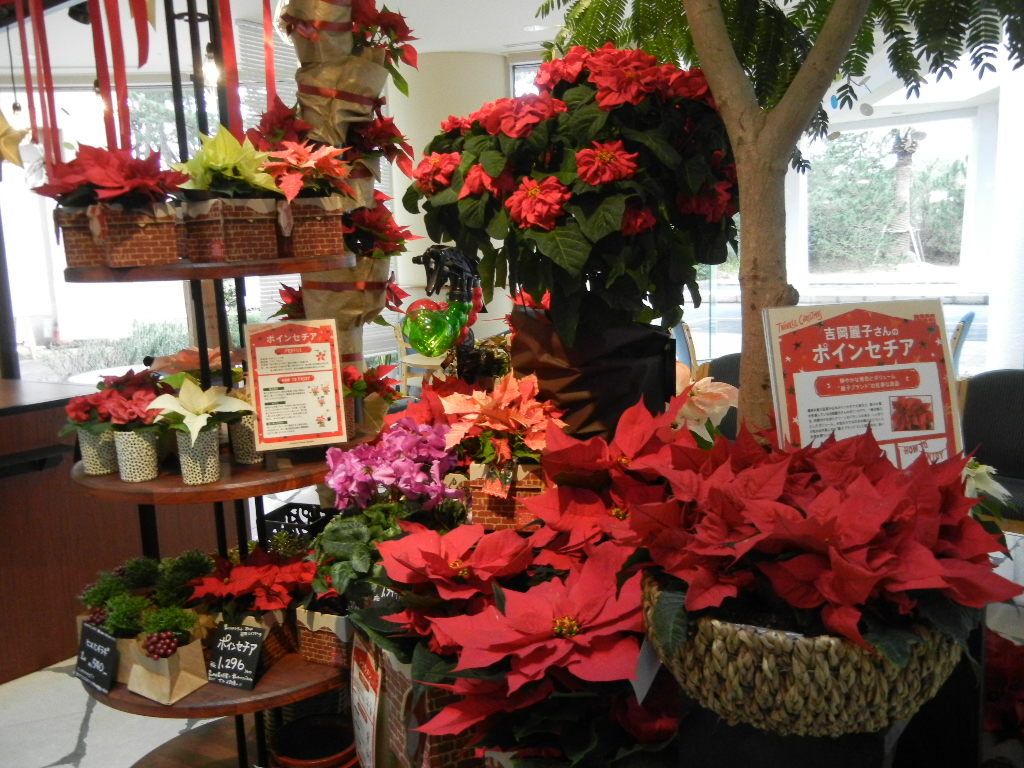 ’14,12,5(金)クリスマスな亀田病院!_f0060461_11122187.jpg