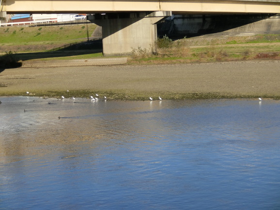 b0244372_21595351.jpg