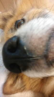 f0238772_19141748.jpg