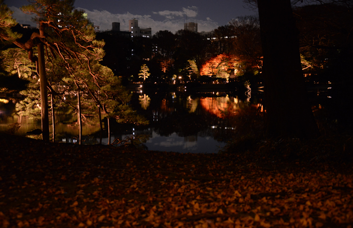 六義園ライトアップ紅葉写真アップ!_e0171573_23294515.jpg