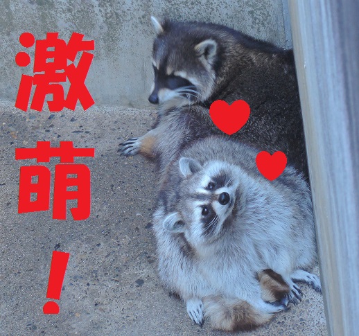 長野市より^^_a0211886_129233.jpg
