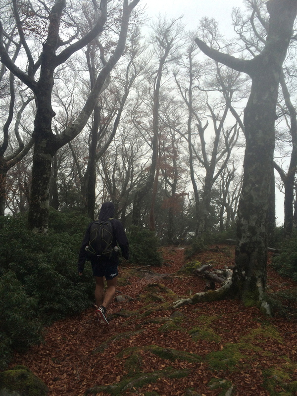静岡 OMM JAPAN RACE 2014/11/28-30 Day.2_b0220886_14543267.jpg
