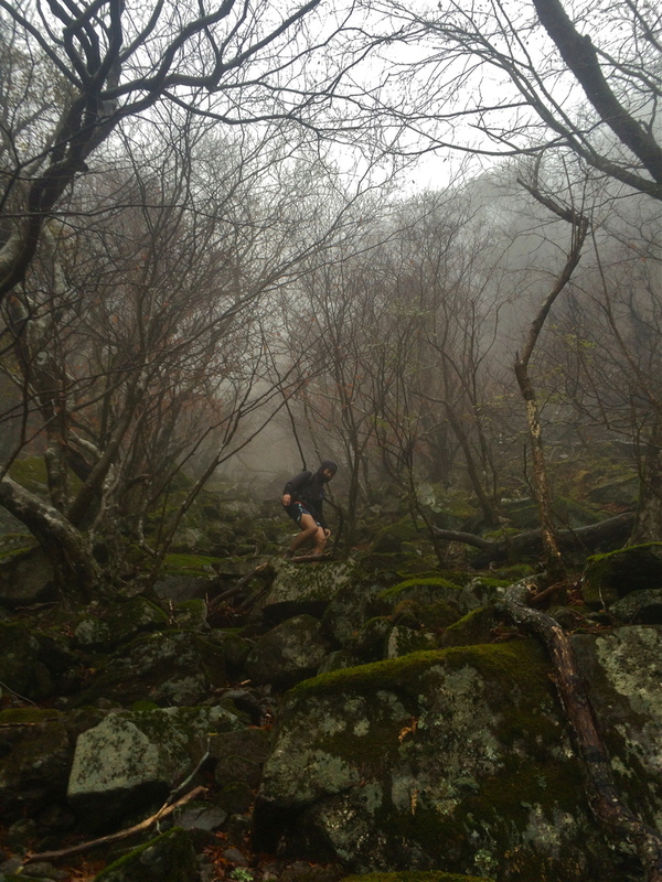 静岡 OMM JAPAN RACE 2014/11/28-30 Day.2_b0220886_1592598.jpg