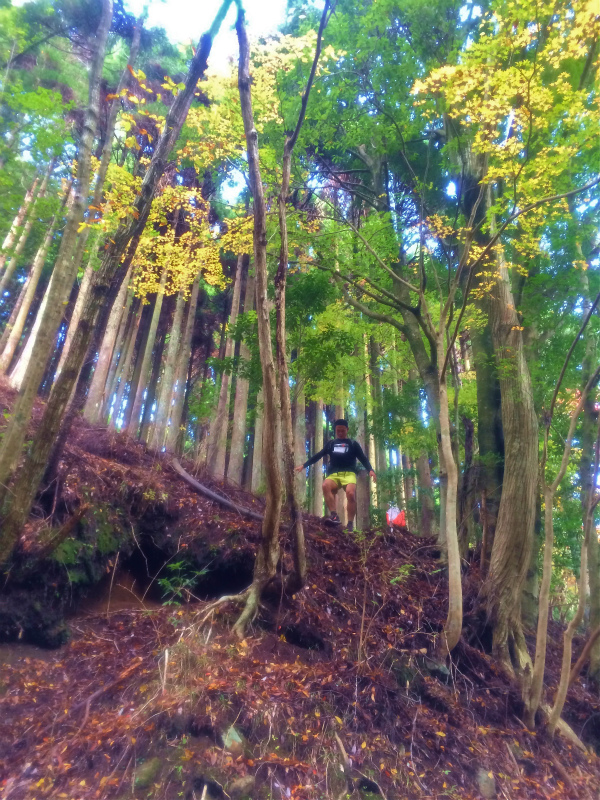 OMM JAPAN RACE 2014/11/28-30 Day.3_b0220886_17334550.jpg