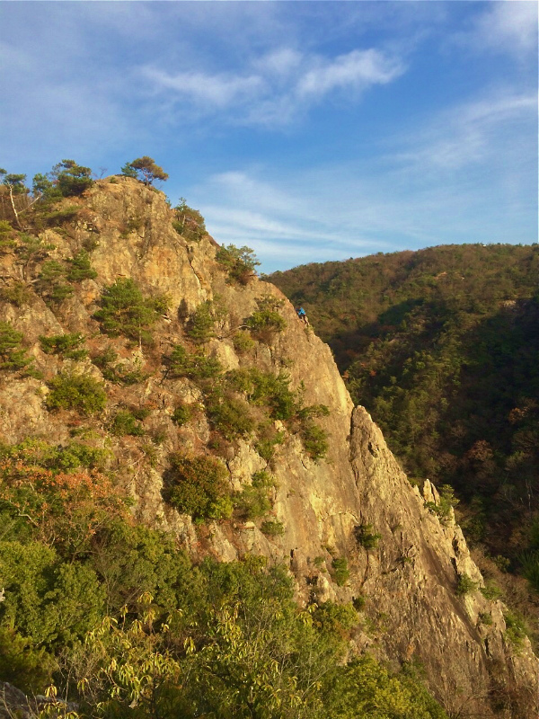 道場百丈岩周辺 Mountain Running 2014/12/03_b0220886_22301135.jpg