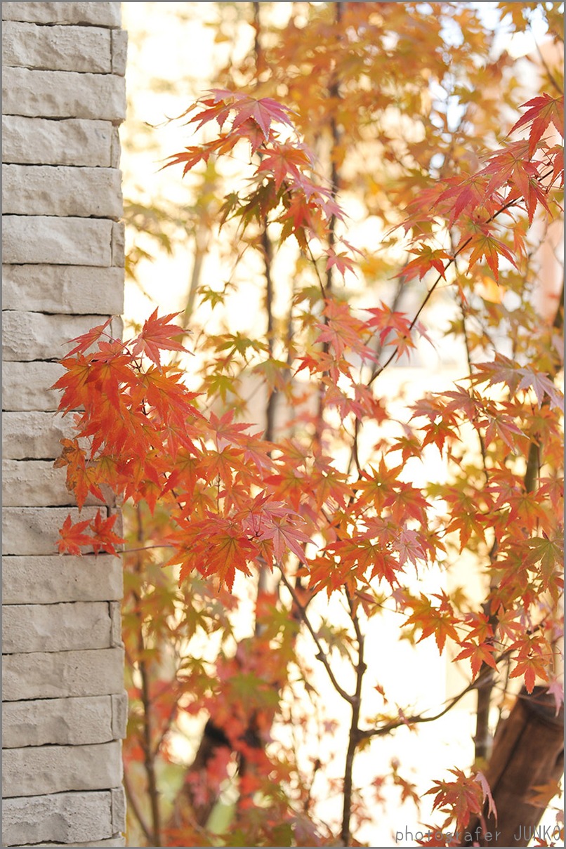 f0215487_22493581.jpg