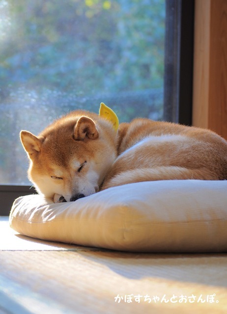 フィフティーズ_a0126590_01014531.jpg